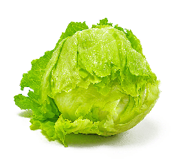 Lettuce